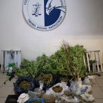 19.9.2024-messinia-narkwtika-syllipseis