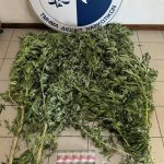 3.9.2024 messinia-narkwtika-sillipseis