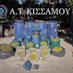 κανναβη 1