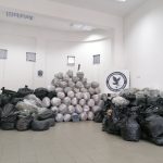 18.10.2024-arkadia-entopismos fyteias-syllipsi (1)