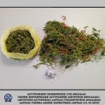 31102024thessaliaepix