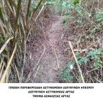 ΔΕΝΔΡΥΛΛΙΑ 3