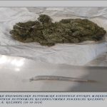 ΦΩΤΟΓΡΑΦΙΑ