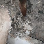 11112024korydallos (3)