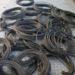 30092010biotia2