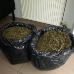 11112010fotolak3