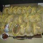 24012011foto