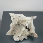 02-02-2011-arx4b