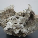 02-02-2011-arx5b