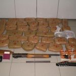 12072011flwrinaB1