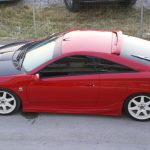 12072011flwrinaB2