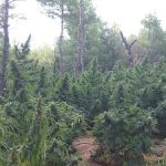 27092011foto4s