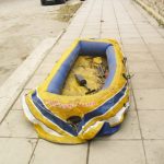 14112011-varka-B1