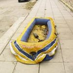 14112011-varka-S1