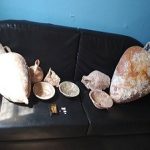 03072018notionarks