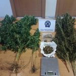 03072018stereakatasxethentas