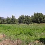 03072018thessaliaparousiasi2s