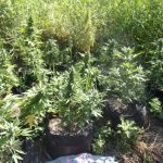 04072018notiofyteia1