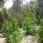 23072018krhthfyteia003