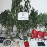 25072018stereaelladanarkoplaarxaia001