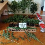 30072018peloponarkotika001