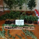 30072018peloponarkotika001s