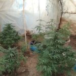 29092018dytikielladanark002s