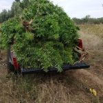 05102018dytmakflorina003
