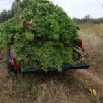 05102018dytmakflorina003s