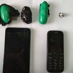 06102018notiosyllipsis