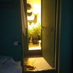09032020paousiasi008