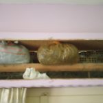 05052020ditikela001