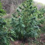 18092020messinia001