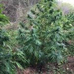 18092020messinia001s