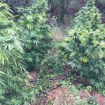18092020messinia002