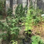 21092020kannavhhraklio001s