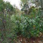25092020gadafy001s
