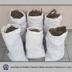 27012021trikalas