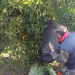 06022021hpeiros001