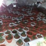 13072021gada001s