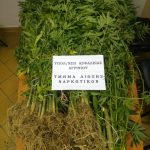13072021narkdytagrinio001