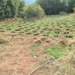 21072021kanavifthiotida008