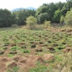 21072021kanavifthiotida009s