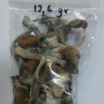 24072021peloponisosepix