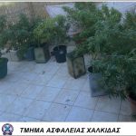 14082021narkotchalkida002