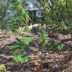 17092021korinthos001
