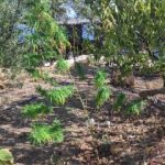 17092021korinthos001s