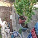 17092021korinthos002