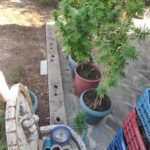 17092021korinthos002s