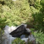 20092021pel003s